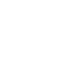 Boson